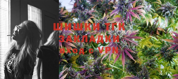 spice Алзамай