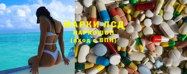 spice Алзамай