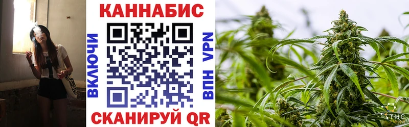 закладка  Зеленоградск  Каннабис тримм 